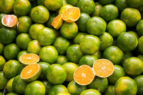 Freshly picked green tangerines mandarines, clementines, as Citrus fruit background