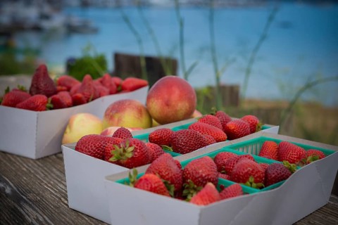 Basket of strawberries and nectarines from the farmers' market in Sausalito, California, USA, USA,