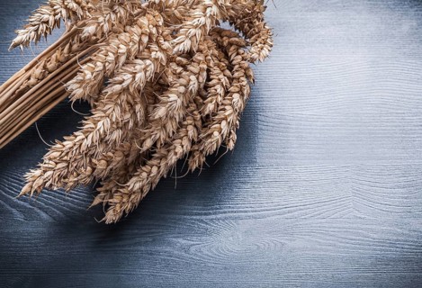 Close up view rye ears on vintage wooden board