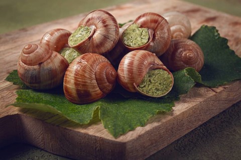 Grape snails stuffed in Burgundy, on a wooden board, French cuisine, no people