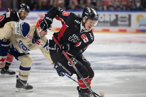 LanxessArena, Cologne, North Rhine-Westphalia, Justin Schütz (Cologne Sharks, #10), PENNY DEL,