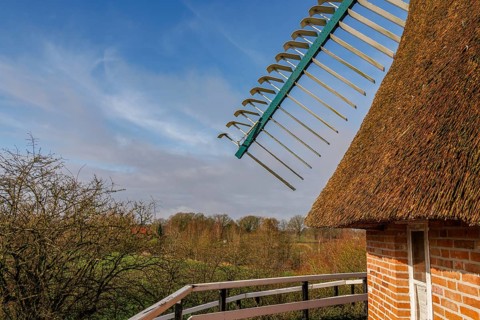 Windmill wing shot with surrounding nature, thatched roof and bright sky, burlage, east frisia,
