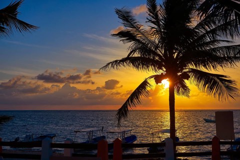 Riviera Maya sunrise beach palm tree at Mayan Mexico