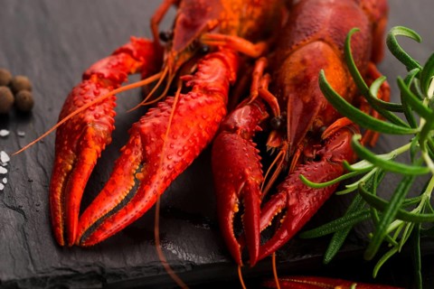 Delicious food. Cancer the river boiled