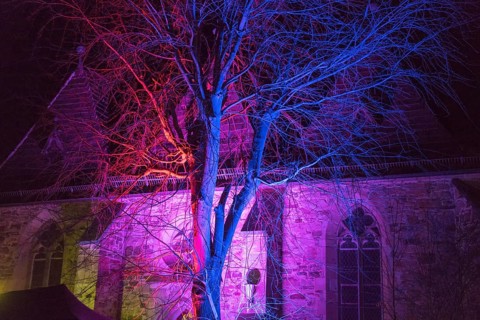 Colorful illuminated tree, Trendelburg, Weser Uplands, Weserbergland, Hesse, Germany, Europe