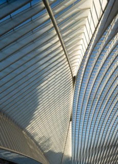 Liège, Liège-Guillemins railway station, design 2009 Santiago Calatrava, station concourse