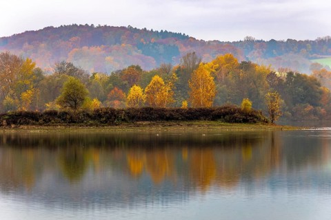 Colourful trees in the morning mist at a small lake in Bavaria in autumn