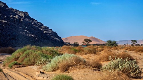 Rough desert landscape with dunes in the background and scattered vegetation, The landscape of the