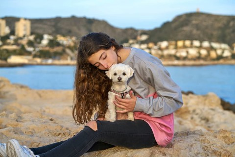 Girl playing with maltichon puppy dog in the beach