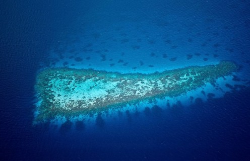 Aerial View of Coral Reefs at Maldives, Aerial View of Coral Reefs at Maldives, land photography,