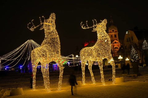 Reindeer of illumination (Stockholm, Sweden). Shooting Location: Sweden, Stockholm