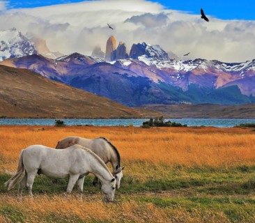 Lake Laguna Azul in the mountains. On the shore of Laguna Azul grazing horses. Impressive landscape