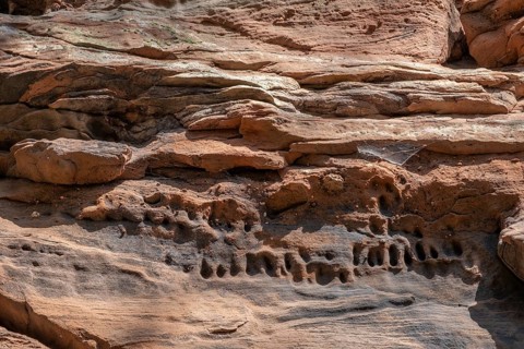 Detail of the Geiersteinfelsen, Geierstein, sandstone, Palatinate Forest, Bruchweiler-Bärenbach,