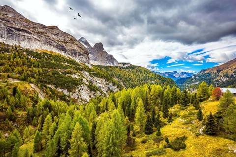 Autumn day. The shores of the glacial lake in the Dolomites. On the mountain slopes there is a