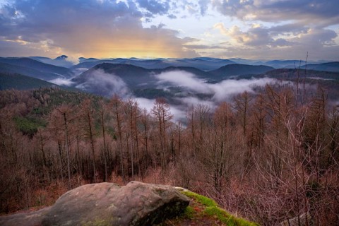 Landscape shot with cloudy sky and fog in the valley. View from a rock in the middle of forest and