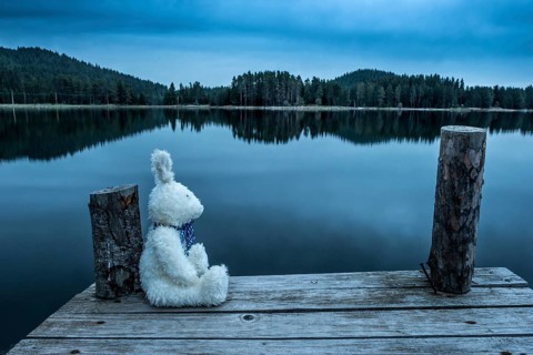Fluffy toy bunny sitting on a pier. Shore of a mountain lake