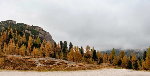 Autumn forest landscape at Passo Falzarego valley. Dolomite mountain range Italy. Fall season