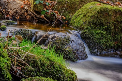 A small stream flows over moss-covered rocks in a forest, Höllbachtal, Upper Palatinate