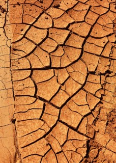 Cracked, dry earth with brown colour tones, reminiscent of arid or desert landscapes. Hiking