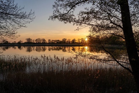 Evening atmosphere in the Upper Lusatian heath and pond landscape, Guttau pond area 1