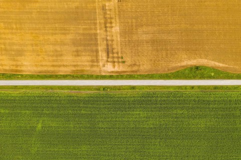 Aerial top view drone photography of a land with sown green fields in countryside