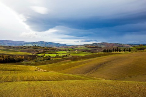Rural farms. Smooth rows of plowed fields and meadows. Picturesque hills of the legendary Tuscany.