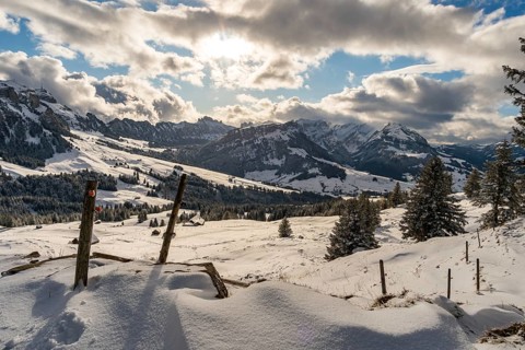 Wonderful winter hike from Restaurant Eggli over the Forstseeli and Diepoldsauer sponge to the