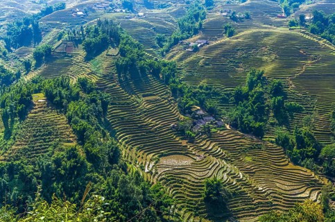 Amazing view on rice terrace in Sapa village, Vietnam, Asia
