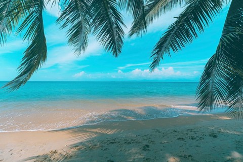 A beautiful beach on a tropical island