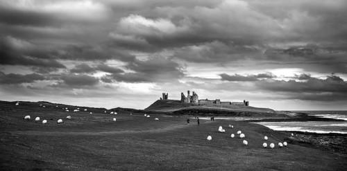 A black and white landscape image of Dunstanburgh Castle with sheep and tourists on the rolling