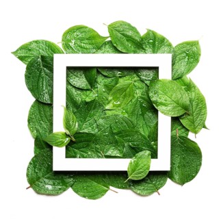 White frame on green leaf in raindrops. Sustainable flat lay, Plastic free concept
