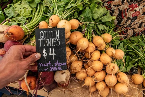 Hand written blackboard sign with the price of golden turnips at the local farmer's market. Real,