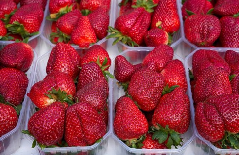 Strawberries in boxes at outdoor market