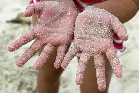 Children girl beach sand palm hands facing camera summer metaphor