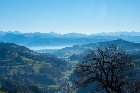 Beautiful view from the top of Hoerli, a hill in Cantone Zurich, towards the central alps