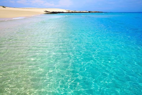 Corralejo Beach Fuerteventura at Canary Islands of Spain