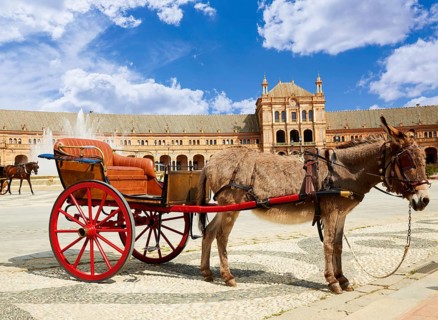 Seville Sevilla Plaza de Espana donkey carriage in Andalusia Spain square