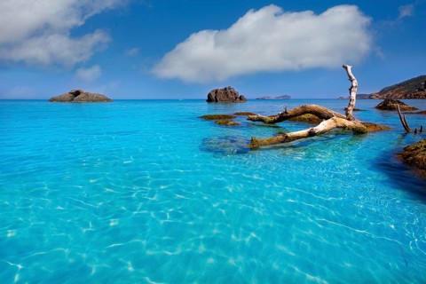 Ibiza Aigues Blanques Aguas Blancas Beach at Santa Eulalia Balearic Islands of spain
