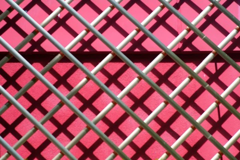 A symmetrical metal frame with large lattices serves as a climbing frame for climbing plants