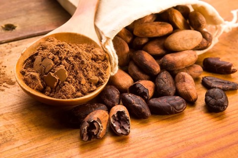 Cocoa (cacao) beans on natural wooden table, lodz, poland