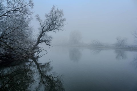 Fog on the banks of the Danube near Bogen (Lower Bavaria)