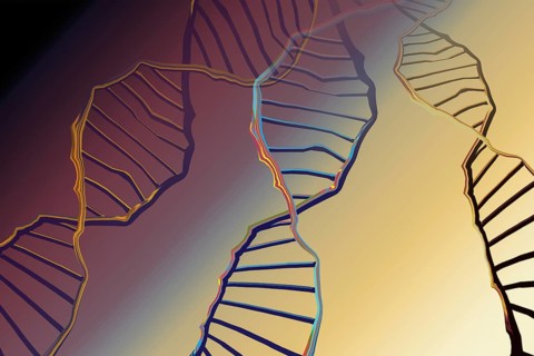 Genome sequencing concept of genome editing. Biotechnology of molecule