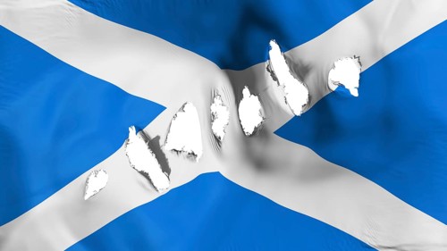 Scotland flag perforated, bullet holes, white background, 3d rendering