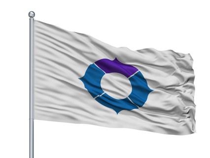 Toyonaka City Flag On Flagpole, Country Japan, Osaka Prefecture, Isolated On White Background