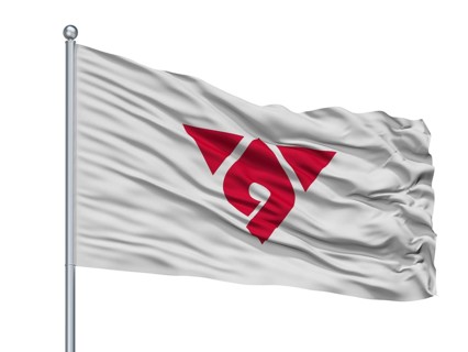 Hadano City Flag On Flagpole, Country Japan, Kanagawa Prefecture, Isolated On White Background