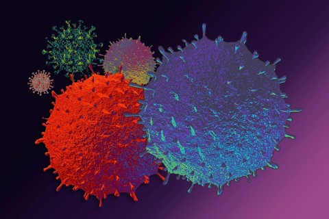 Quarantine and self-isolation. Covid-19 pandemic virus
