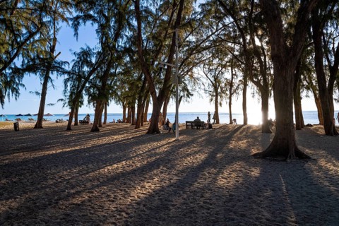 Evening mood, Flic en Flac, Beach, West coast, Indian Ocean, Island, Mauritius, Africa