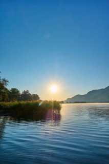 Lake shore, reeds, sunrise, summer, Steindorf am Lake Ossiach, Lake Ossiach, Carinthia, Austria