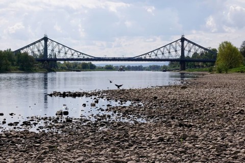 Elbe near Dresden with low water on 23 April 2025, Blaues Wunder bridge, drought, Saxony, Germany