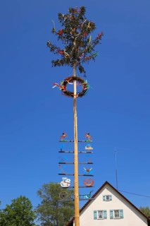 Maypole, customs, symbols of craftsmanship, tradition, decorated fir tree, wreath, ribbons, rear